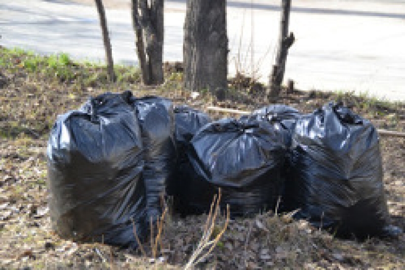 С 1 марта вывоз мусора будет осуществляться по новому графику