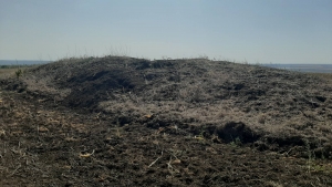 Затерянные в полях курганы