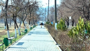 Реконструкция парка Молодежи: велосипедные дорожки, газоны, тротуары