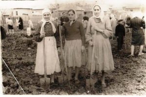 Парк Молодёжи: как рождался, рос и дожил до 65-летнего юбилея