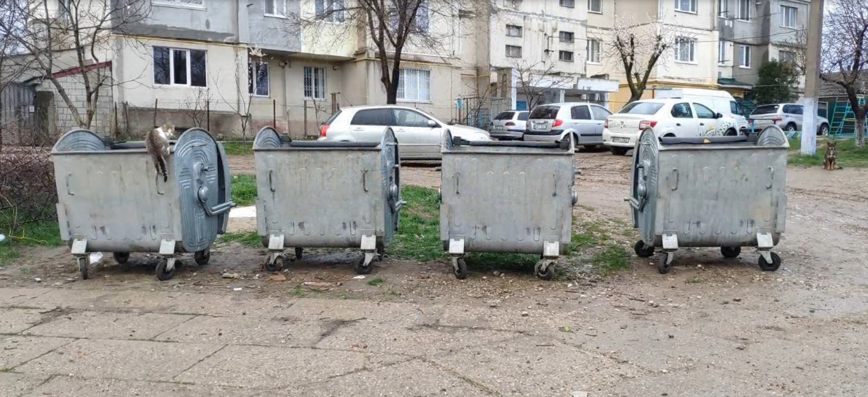 изображение viber 2021 11 11 11 15 46 456