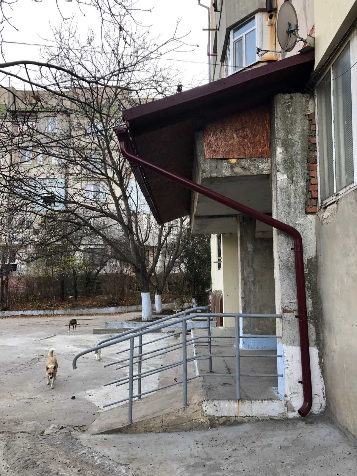 изображение viber 2021 11 15 11 19 35 302