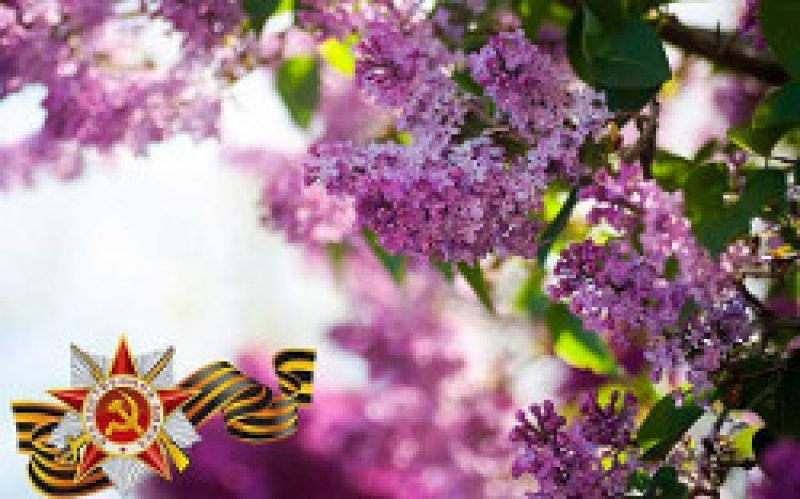 Разработан план мероприятий, посвященных 70-й годовщине Победы