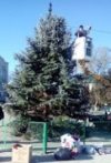 Украшена главная елка в Чадыр-Лунге