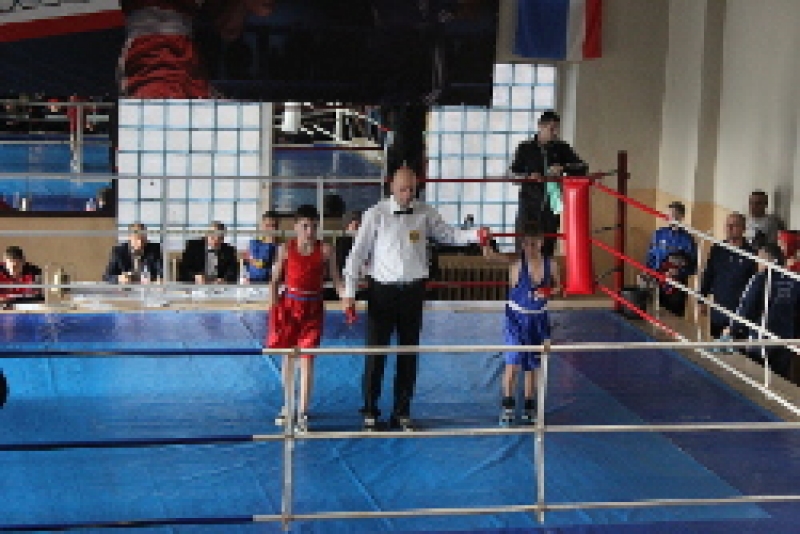 Итоги Международного турнира по боксу