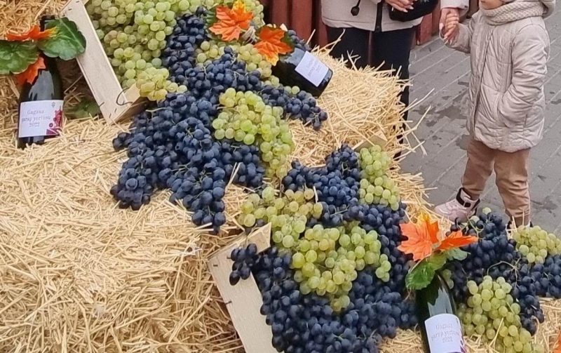 Информация для агрохозяйств и физических лиц &ndash; производителей винограда