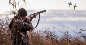 В Гагаузии начался сезон охоты