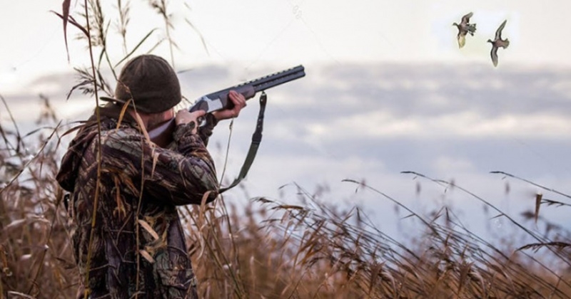 В Гагаузии начался сезон охоты