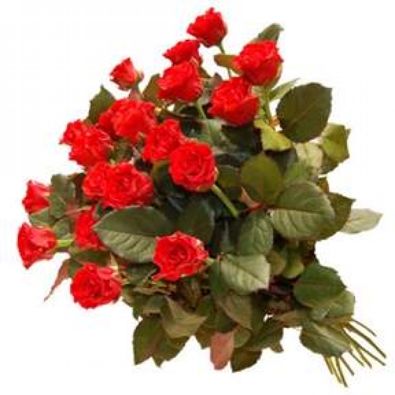 С профессиональным праздником, уважаемые работники почтовой связи!