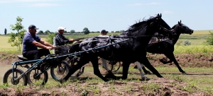 Поздравляем с Хедерлезом и Днем св. Георгия!