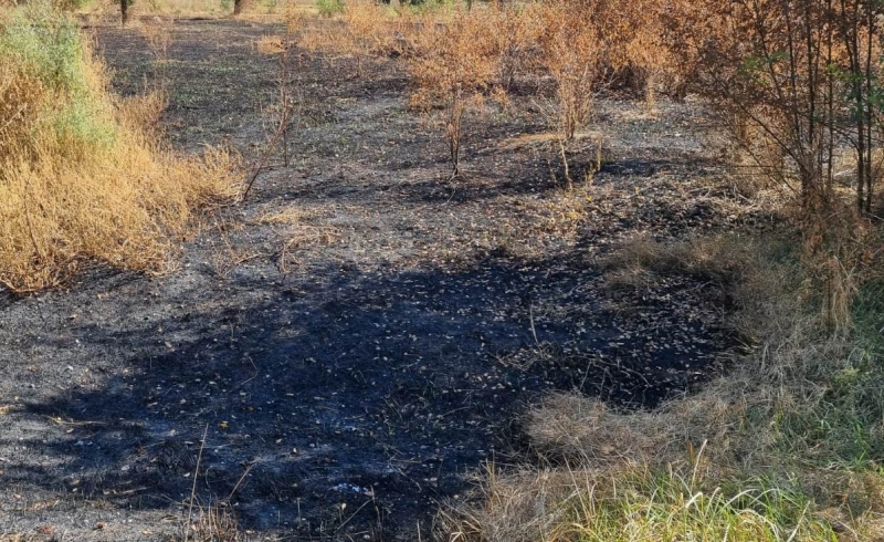 Горит трава! Примария обращается к горожанам с просьбой не разжигать костры
