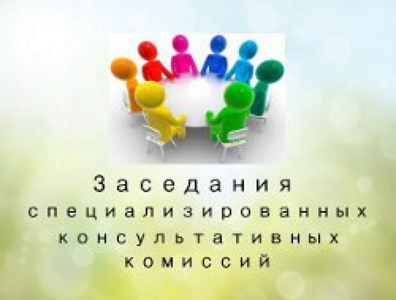 Состоялись заседания специализированных консультативных комиссий
