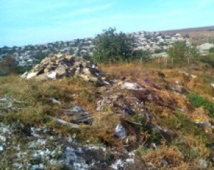 Горожане по-прежнему складируют мусор в оврагах