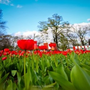 ВЕЛИКАЯ ПАМЯТЬ