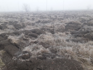 Зачем перекопали городской парк, и что там будет дальше?