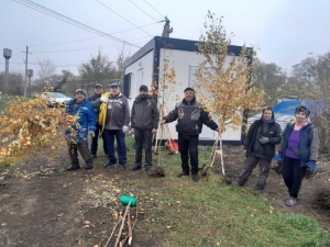 Черенки пустили корни: какие работы ведутся в городском питомнике растений