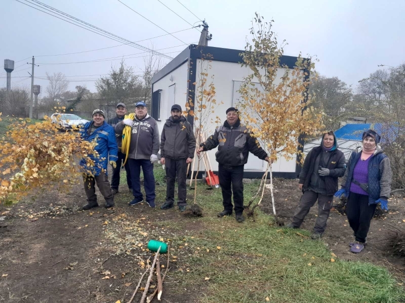 Черенки пустили корни: какие работы ведутся в городском питомнике растений