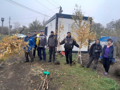 Черенки пустили корни: какие работы ведутся в городском питомнике растений