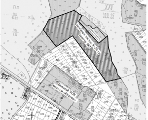 В Чадыр-Лунге состоятся публичные слушания по вопросу сдачи в аренду пастбища