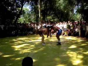 В турнире по вольной борьбе победили сильнейшие