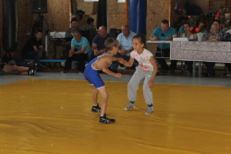 В Чадыр-Лунге прошли соревнования по вольной борьбе