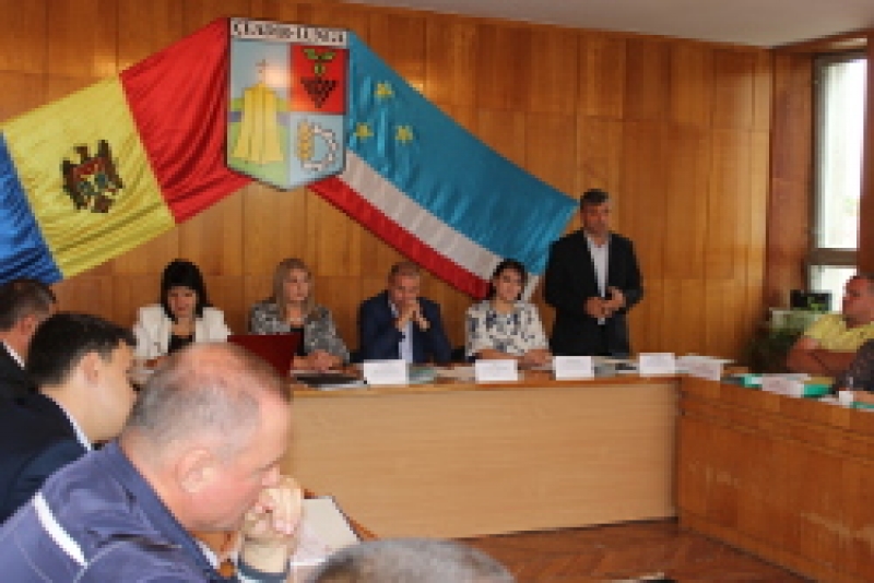 В Чадыр-Лунге введен мораторий на спил деревьев