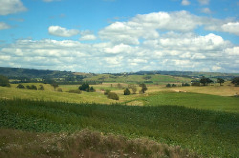 На заседании Ассоциации примаров обсуждался ряд важных вопросов