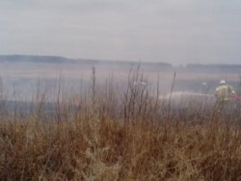 Специалист по Гражданской Защите Примэрии: Пожаров и ущерба можно избежать при условии должного ухода за окружающей нас средой