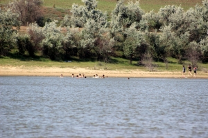 В водоемах Гагаузии купаться нельзя