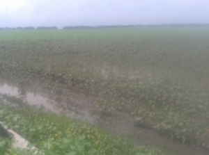 Комиссии определили окончательный размер ущерба