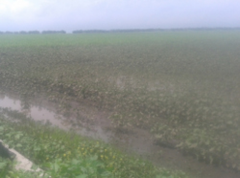 Комиссии определили окончательный размер ущерба