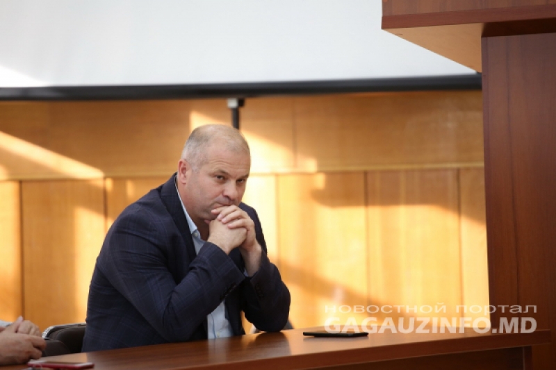 Анатолий Топал - о проблеме бездомных собак