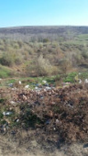 Комиссия по благоустройству и санитарного содержания города осуществила рабочий выезд