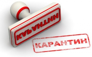 В детском саду №6 объявлен карантин