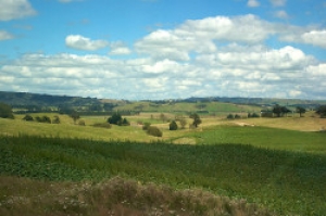 Добрый пример жителей улицы Ворошилова