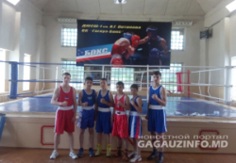 Воспитанники чадыр-лунгской ДЮСШ завоевали золотые медали на чемпионате Молдовы по боксу