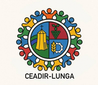 Молодежный совет мун. Чадыр-Лунга: пространство для инициатив и перемен