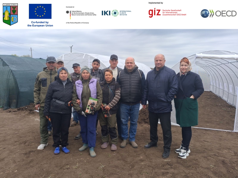 Практическое обучение в Чадыр-Лунгском муниципальном питомнике