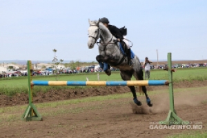 Конноспортивные состязания &laquo;Алтын ат&raquo; в 20-ый раз прошли в Чадыр-Лунге