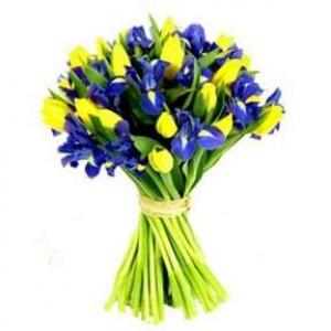 С Днём государственного служащего!