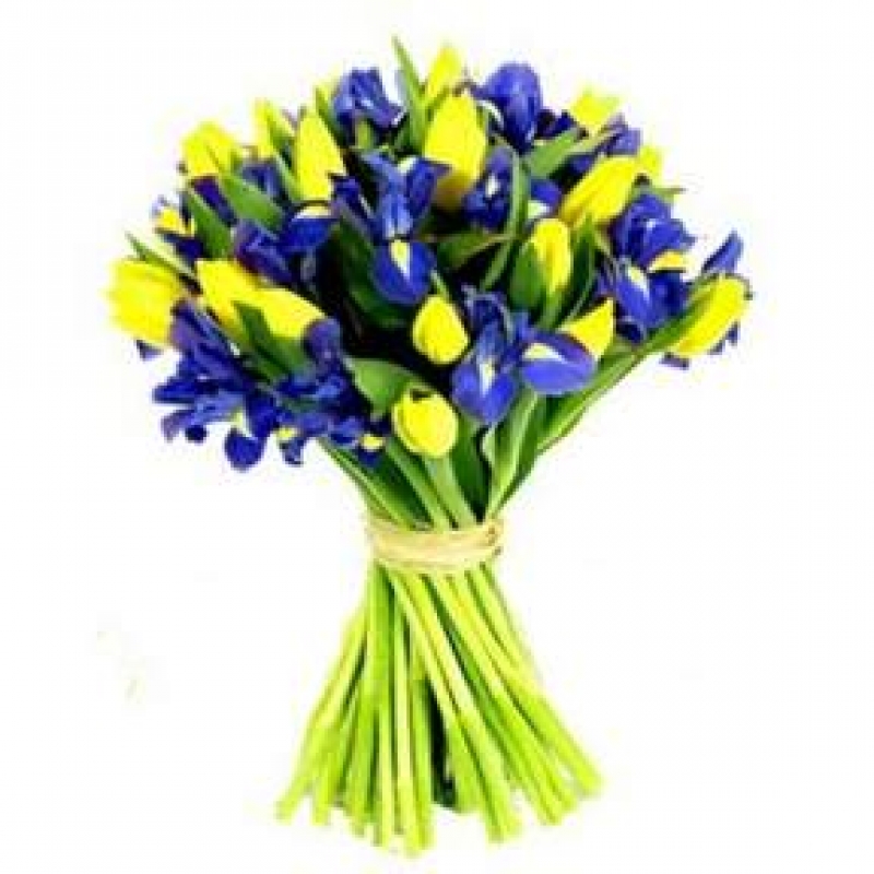 С Днём государственного служащего!