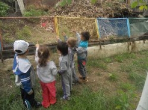 А навоз и ныне там...