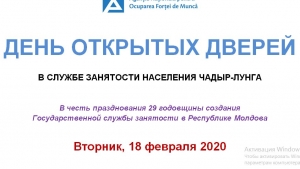 &laquo;День открытых дверей&raquo; в службе занятости Чадыр-Лунги