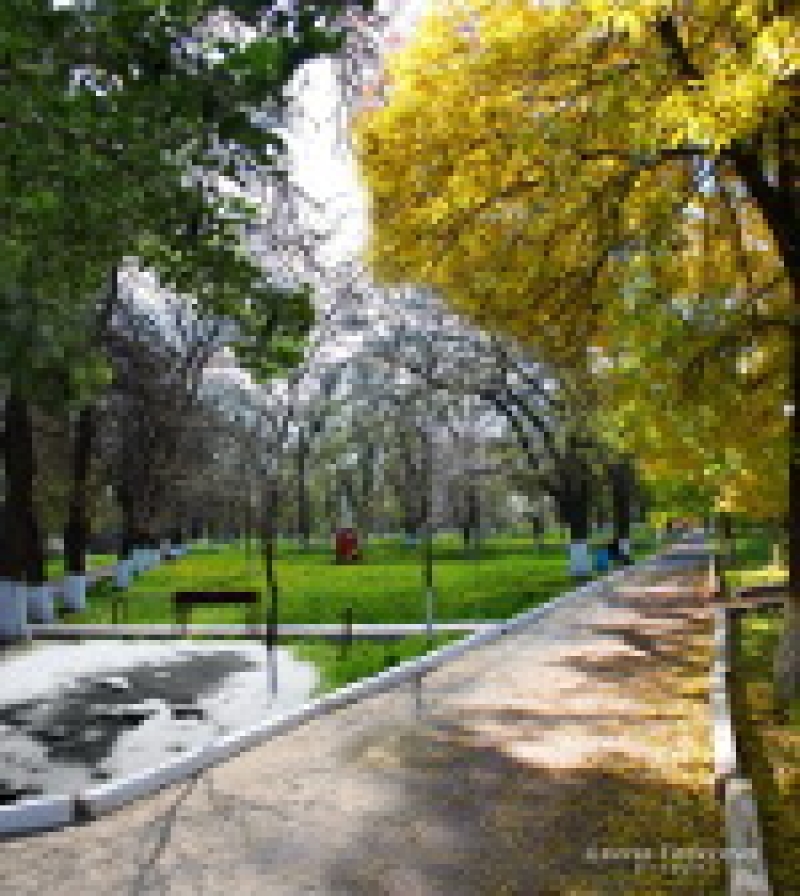 Чадыр-Лунгский парк «Победа» будет реконструирован