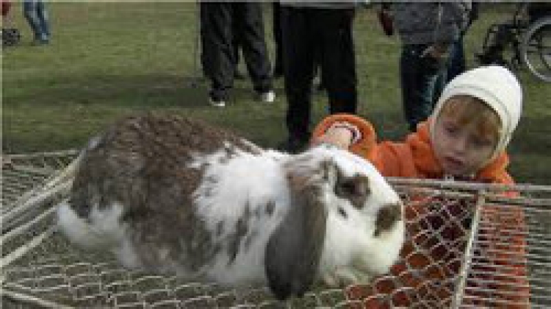 ВЫСТАВКА ДОСТИЖЕНИЙ ГАГАУЗИИ В ОТРАСЛЯХ ЖИВОТНОВОДСТВА