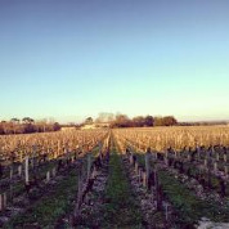 В Чадыр-Лунге проводится инвентаризация сельхозземель