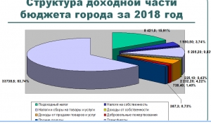 На заседании Совета был представлен отчет об исполнении бюджета муниципия за 2018 год