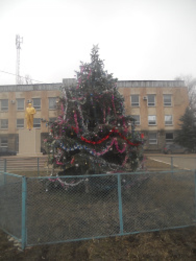 Украшена главная новогодняя ель города