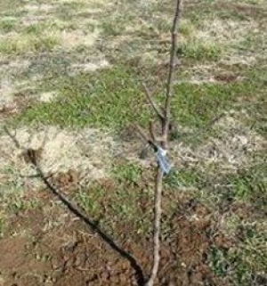 О сохранении городского имущества