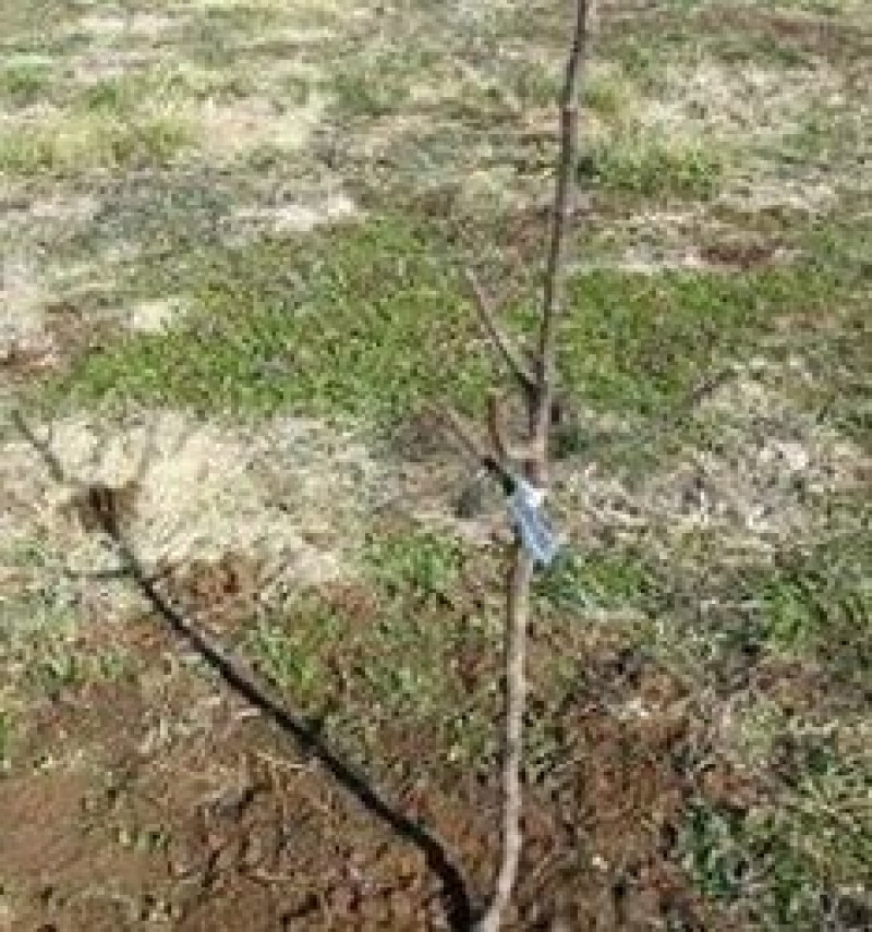 О сохранении городского имущества